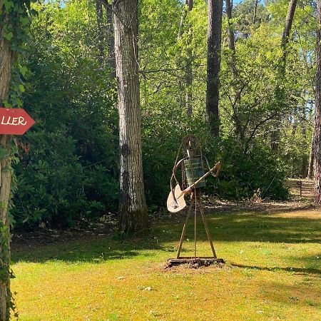 Villa Le Petit Poulailler Au Beau Milieu Des Pins Lacanau Exterior foto