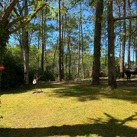 Villa Le Petit Poulailler Au Beau Milieu Des Pins Lacanau Exterior foto
