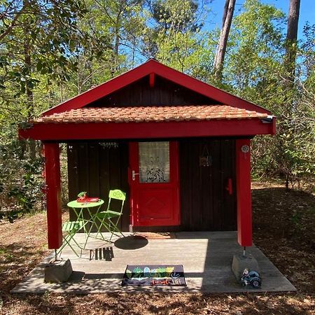 Villa Le Petit Poulailler Au Beau Milieu Des Pins Lacanau Exterior foto