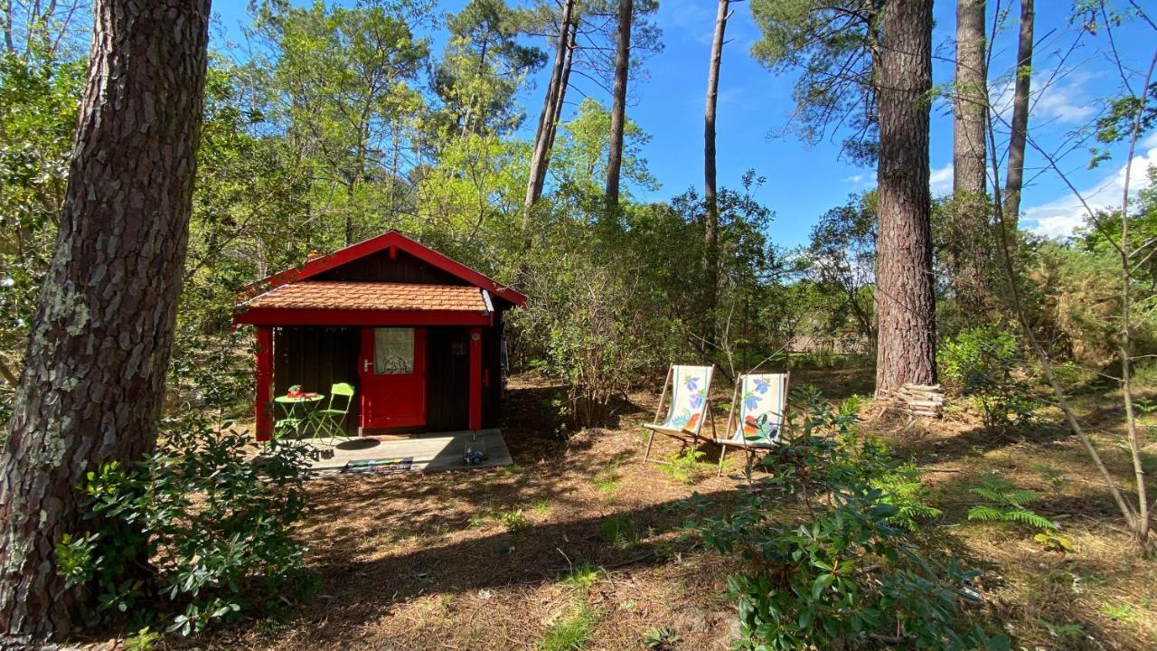 Villa Le Petit Poulailler Au Beau Milieu Des Pins Lacanau Exterior foto