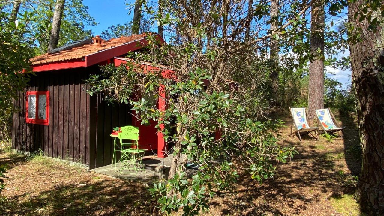 Villa Le Petit Poulailler Au Beau Milieu Des Pins Lacanau Exterior foto