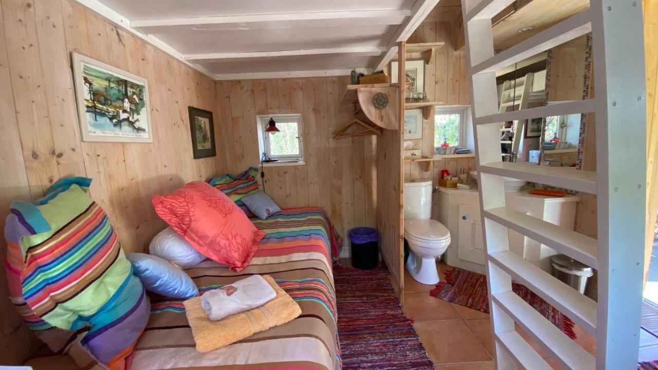 Villa Le Petit Poulailler Au Beau Milieu Des Pins Lacanau Exterior foto