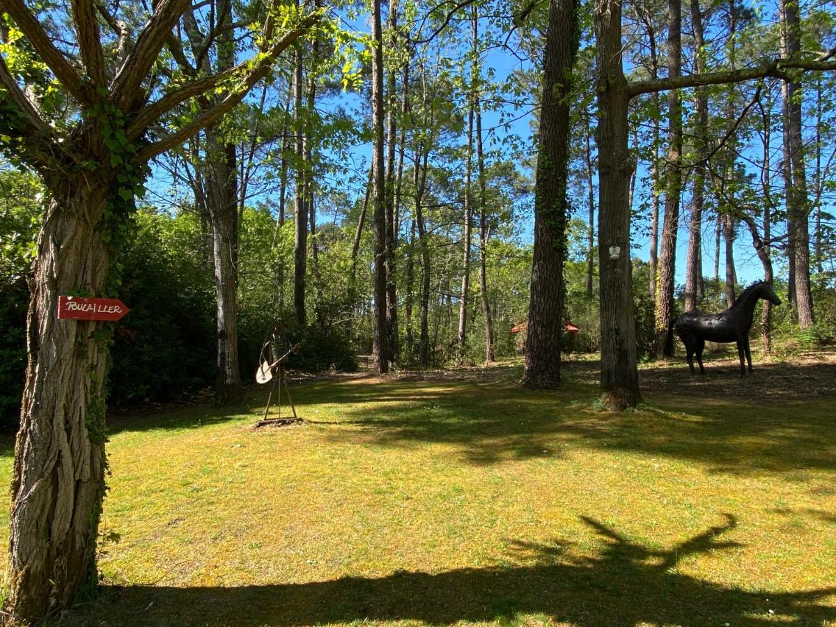 Villa Le Petit Poulailler Au Beau Milieu Des Pins Lacanau Exterior foto