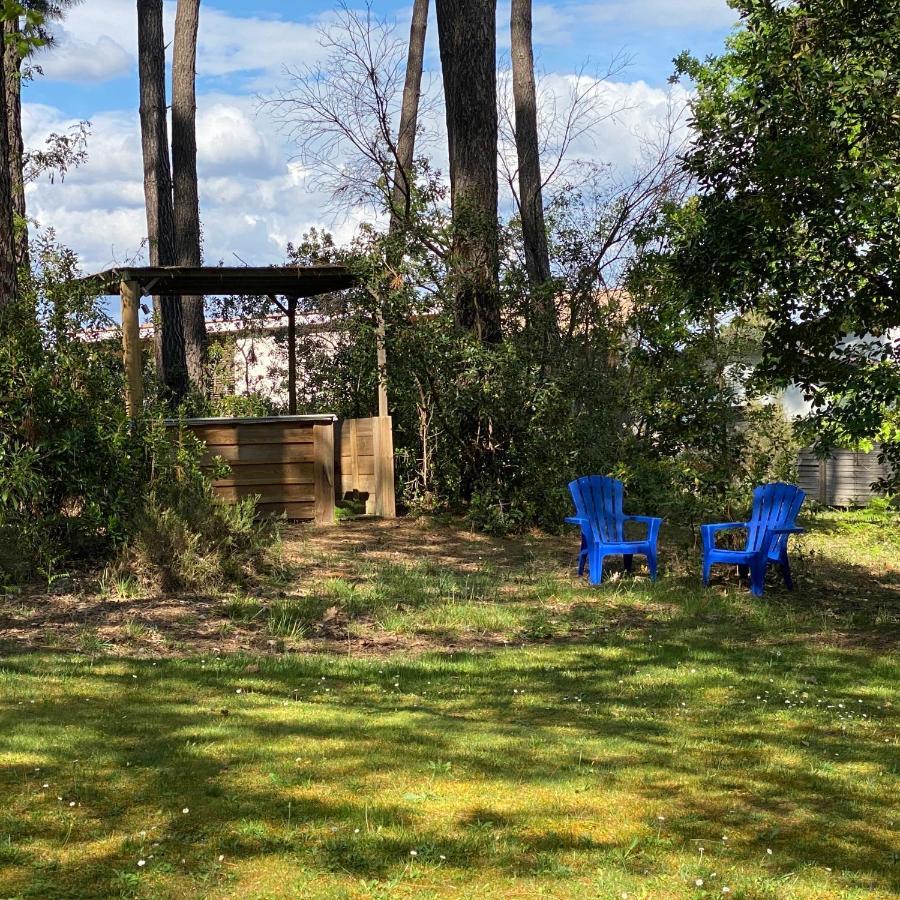 Villa Le Petit Poulailler Au Beau Milieu Des Pins Lacanau Exterior foto