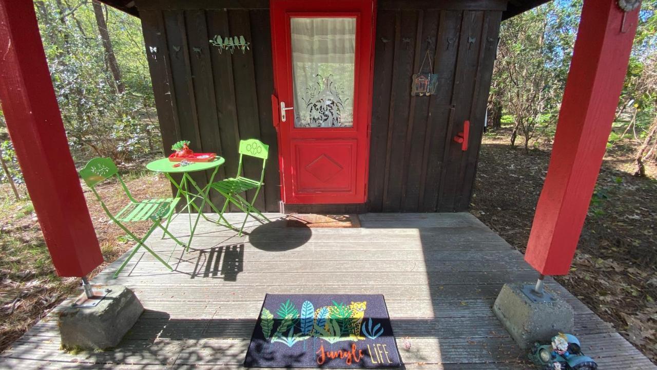 Villa Le Petit Poulailler Au Beau Milieu Des Pins Lacanau Exterior foto
