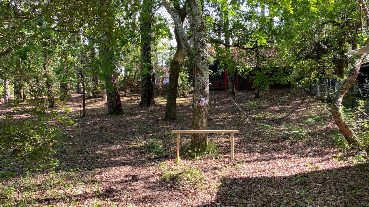 Villa Le Petit Poulailler Au Beau Milieu Des Pins Lacanau Exterior foto
