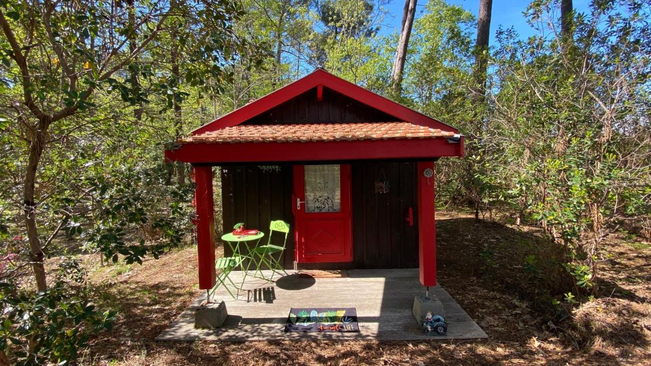 Villa Le Petit Poulailler Au Beau Milieu Des Pins Lacanau Exterior foto