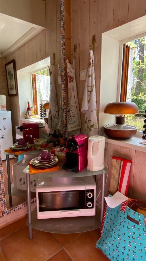 Villa Le Petit Poulailler Au Beau Milieu Des Pins Lacanau Exterior foto