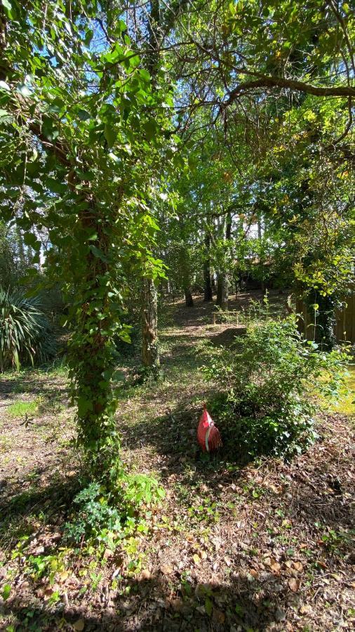 Villa Le Petit Poulailler Au Beau Milieu Des Pins Lacanau Exterior foto