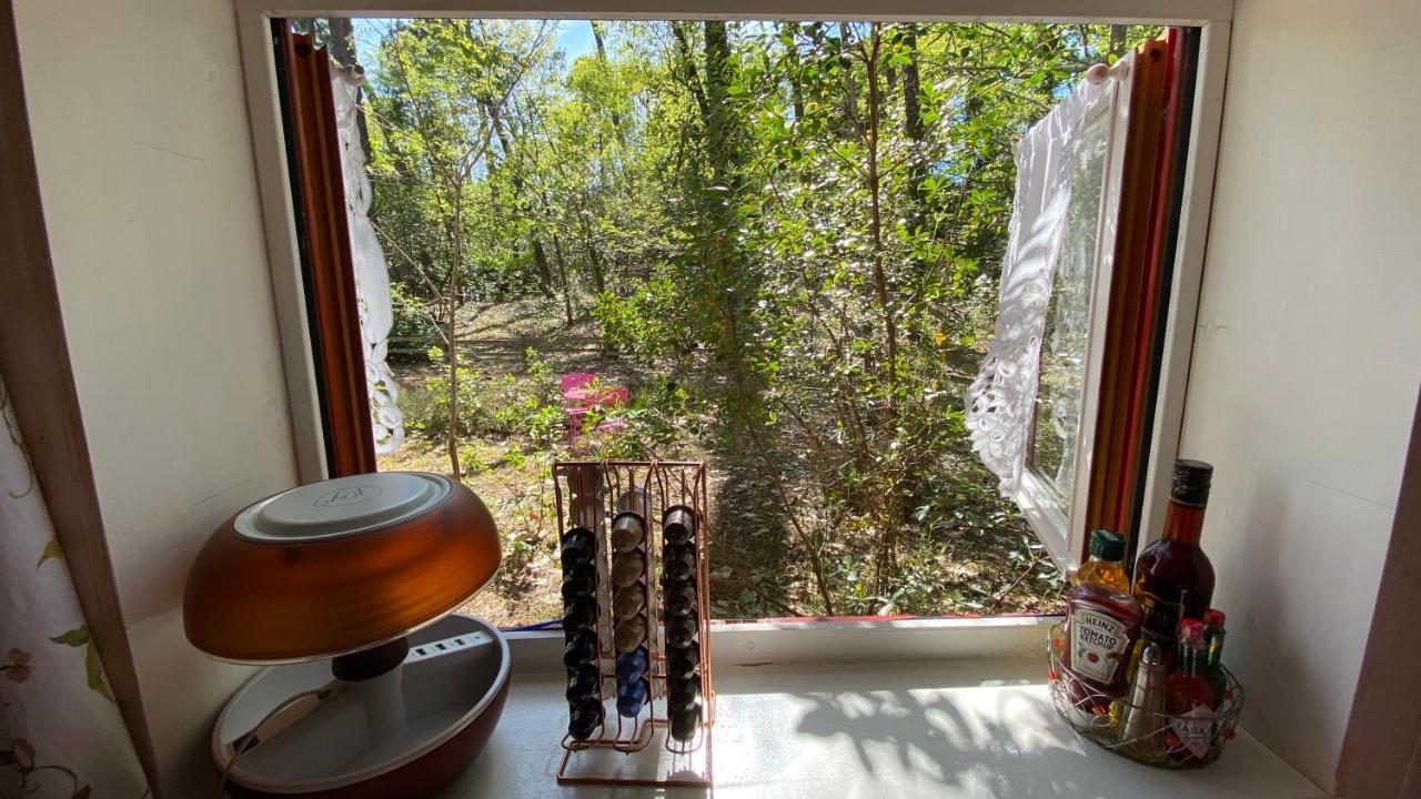 Villa Le Petit Poulailler Au Beau Milieu Des Pins Lacanau Exterior foto