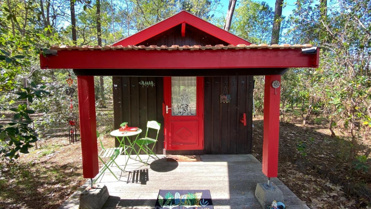 Villa Le Petit Poulailler Au Beau Milieu Des Pins Lacanau Exterior foto