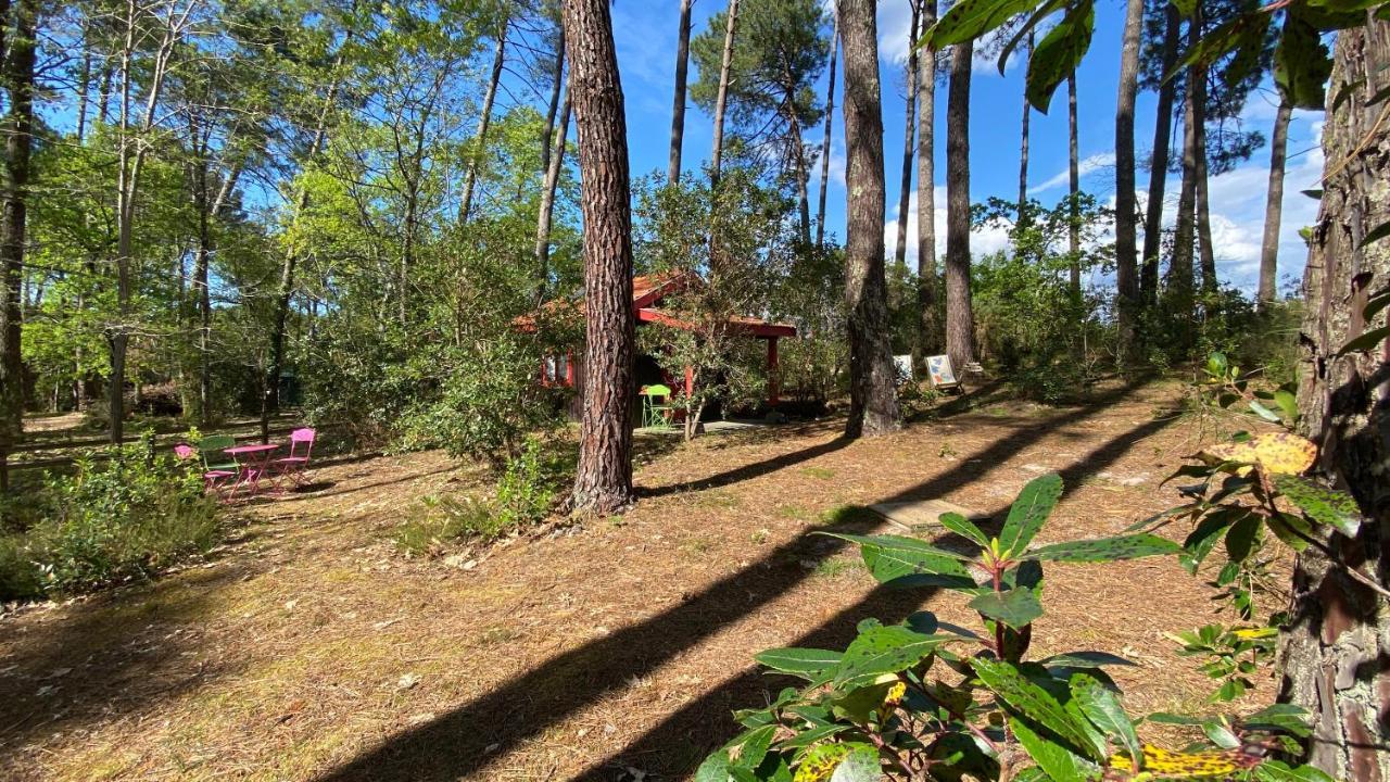 Villa Le Petit Poulailler Au Beau Milieu Des Pins Lacanau Exterior foto