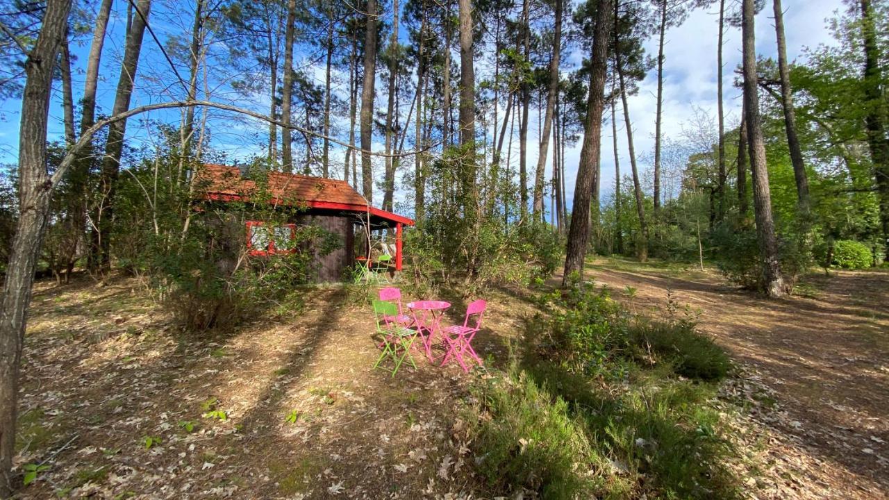 Villa Le Petit Poulailler Au Beau Milieu Des Pins Lacanau Exterior foto