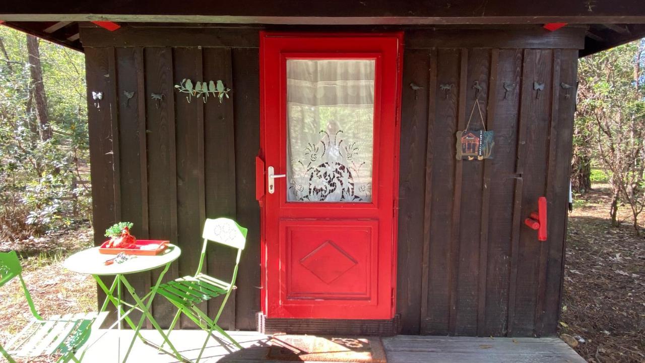 Villa Le Petit Poulailler Au Beau Milieu Des Pins Lacanau Exterior foto