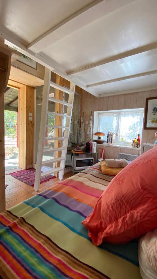 Villa Le Petit Poulailler Au Beau Milieu Des Pins Lacanau Exterior foto