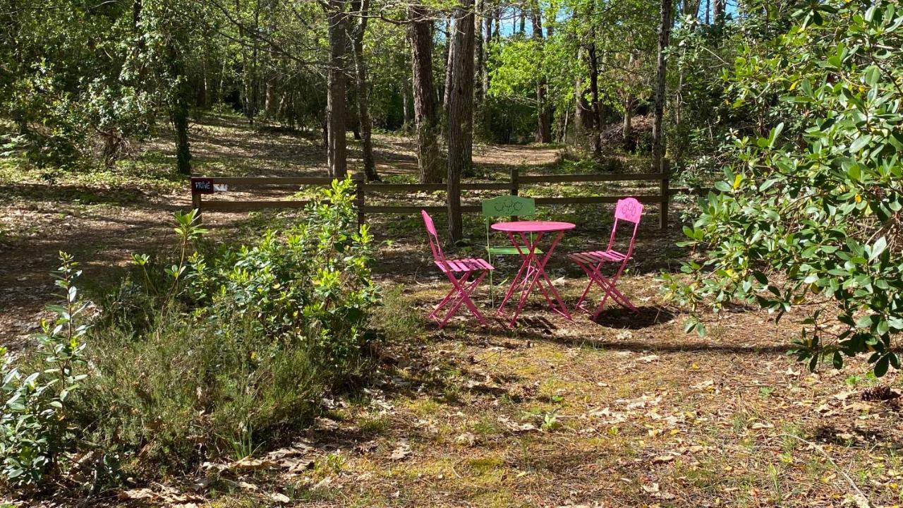 Villa Le Petit Poulailler Au Beau Milieu Des Pins Lacanau Exterior foto